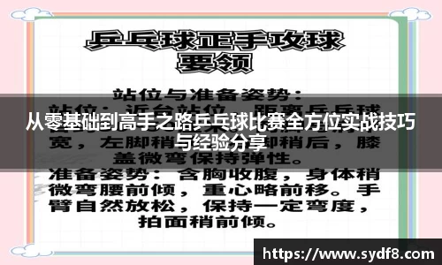 从零基础到高手之路乒乓球比赛全方位实战技巧与经验分享
