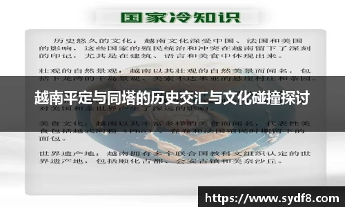 越南平定与同塔的历史交汇与文化碰撞探讨