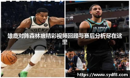 雄鹿对阵森林狼精彩视频回顾与赛后分析尽在这里